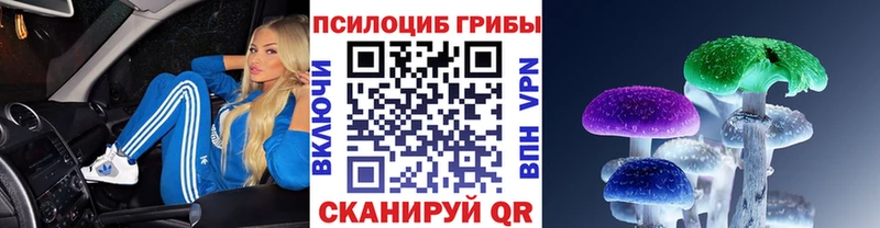 Псилоцибиновые грибы Psilocybine cubensis Бакал