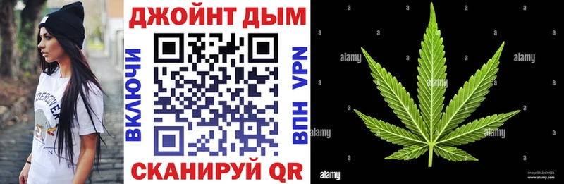 Канабис гибрид  Бакал 